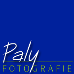 Paly | Fotografie